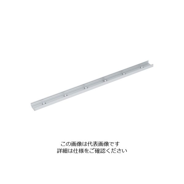 スガツネ工業 (190045764)MLG20ー300マルチローラーリニアガイドレール MLG20-300 1本 195-6707（直送品）