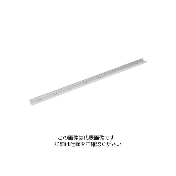 スガツネ工業 (190045765)MLG20ー400マルチローラーリニアガイドレール MLG20-400 1本 195-6708（直送品）