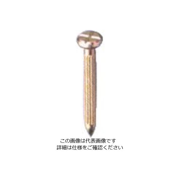 エス・ティ・エス STS 測量用ネイルNO.1 (500本入) NO.1 1箱(500本) 807-2633（直送品）