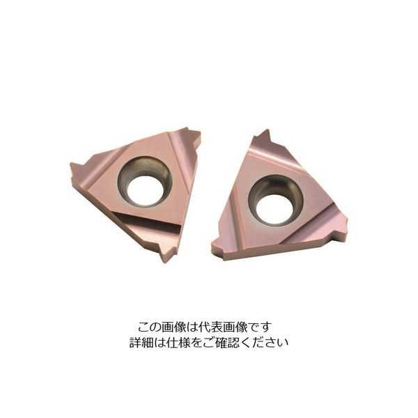 Carmex Precision Tools NOGA カーメックスねじ切り用チップ 16ER14UN HBA 209-0640（直送品）