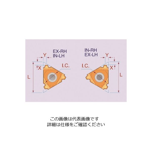 Carmex Precision Tools NOGA カーメックスねじ切り用チップ 16EL2TRBMA 208-9979（直送品）