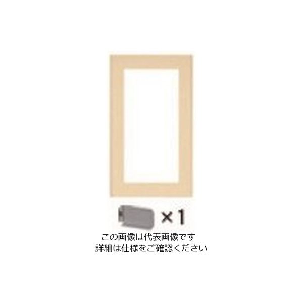 パナソニック Panasonic ワイドSW用簡易耐火Pダブル用ベージュ WT8302F 1セット(10個) 158-9285（直送品）