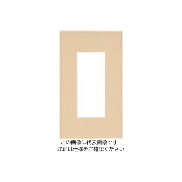 パナソニック Panasonic ワイド21コンセントプレート簡易耐火 WTF8703F 1セット(10個) 157-3502（直送品）