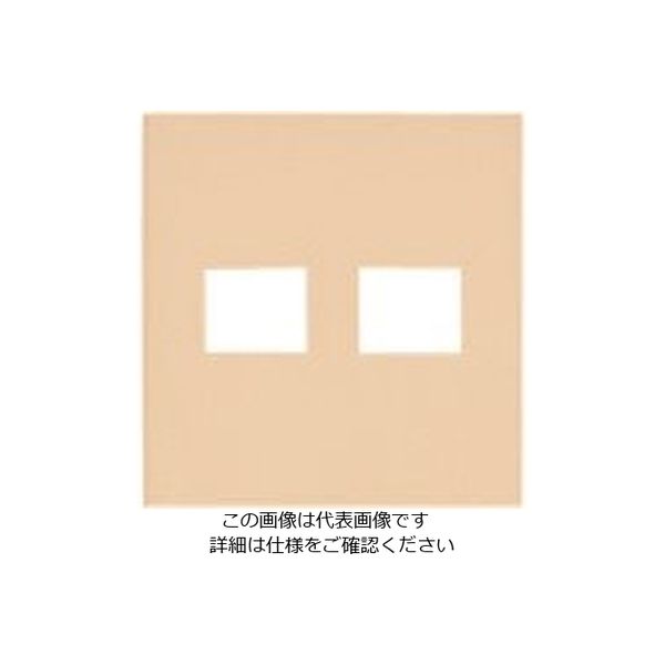 パナソニック Panasonic ワイド21コンP簡易耐火2コ用(1+1) WTF8772F 1セット(10個) 157-6771（直送品）