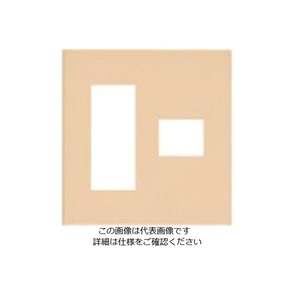 パナソニック Panasonic ワイド21コンP簡易耐火4コ用(3+1) WTF8774F 1セット(10個) 159-2406（直送品）