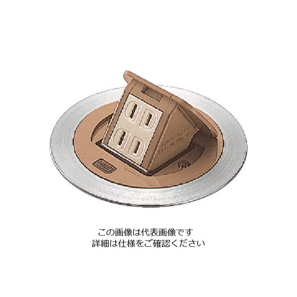 パナソニック Panasonic F型アップコン丸型ビル用2コ用バーチ DU1100ATK 1個 159-5718（直送品）