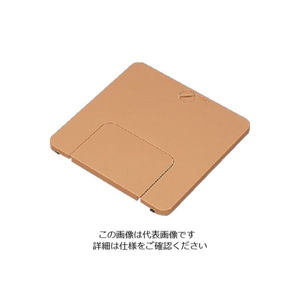 パナソニック Panasonic マルチコンSプレートナチュラルバーチ DUM9101KF 1個 158-1653（直送品）