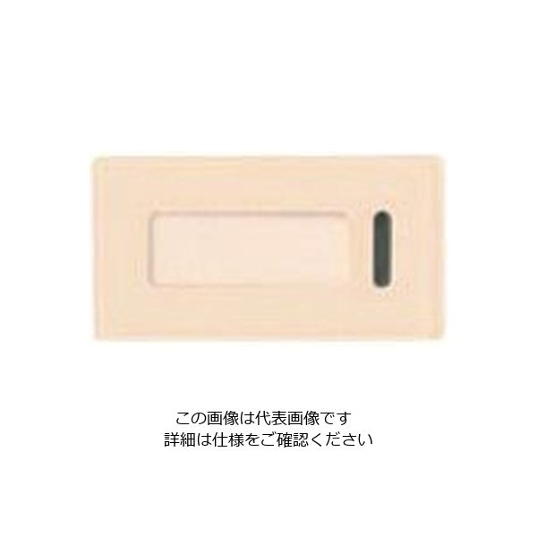 パナソニック Panasonic アドバンス埋込トリプルSW用ハンドル WTA3033F 1セット(10個) 159-5662（直送品）