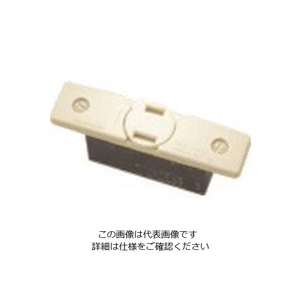 パナソニック Panasonic 扉付和室コンセント・W WF2000W 1セット(10個) 157-3555（直送品）