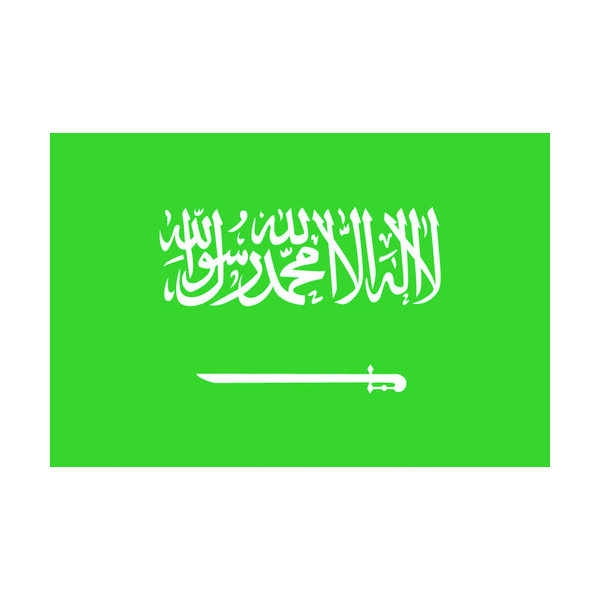 東京製旗 国旗No.1(70×105cm) サウジアラビア 416302 1枚 207-3748（直送品）