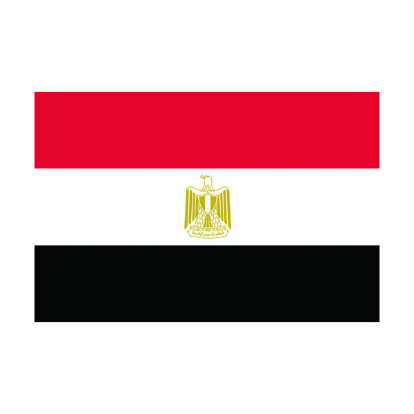 東京製旗 国旗No.1(70×105cm) エジプト・アラブ 416163 1枚 207-3736（直送品）