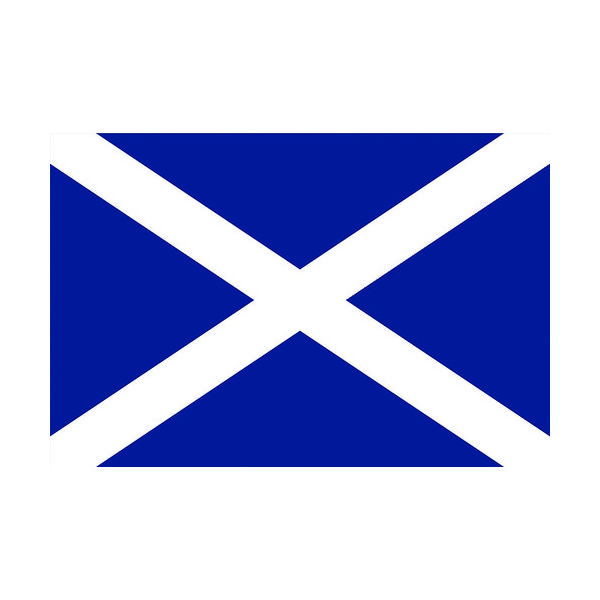 東京製旗 国旗No.1(70×105cm) スコットランド 416351 1枚 207-3764（直送品）