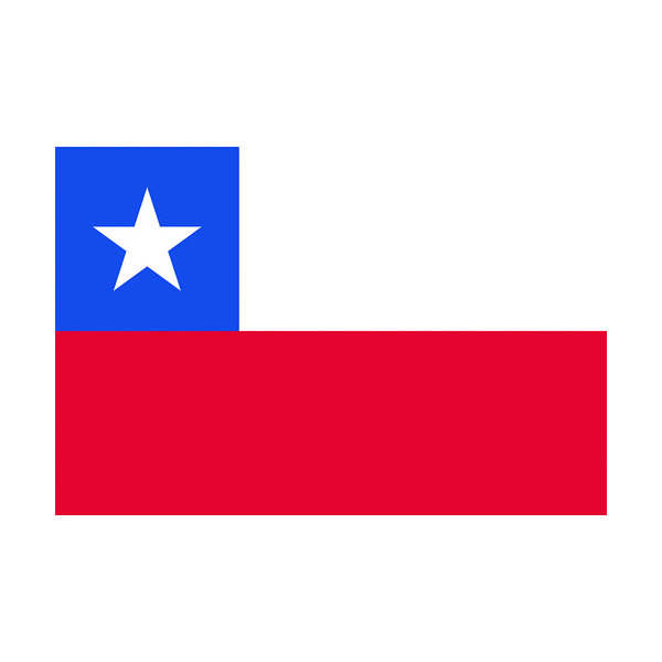 東京製旗 国旗No.2(90×135cm) チリ 426427 1枚 207-3816（直送品）