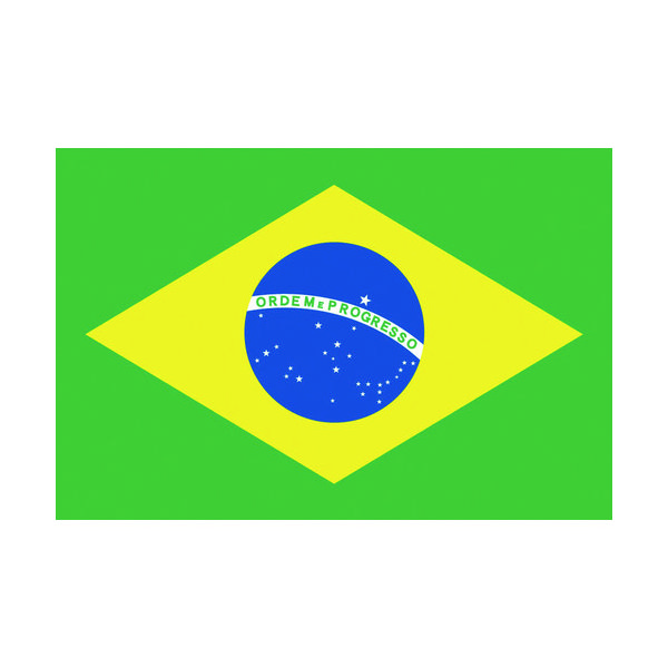 東京製旗 国旗No.1(70×105cm) ブラジル 416646 1枚 207-3727（直送品）