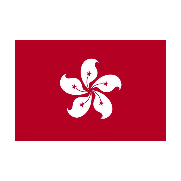 東京製旗 国旗No.1(70×105cm) 香港 416685 1枚 207-3729（直送品）