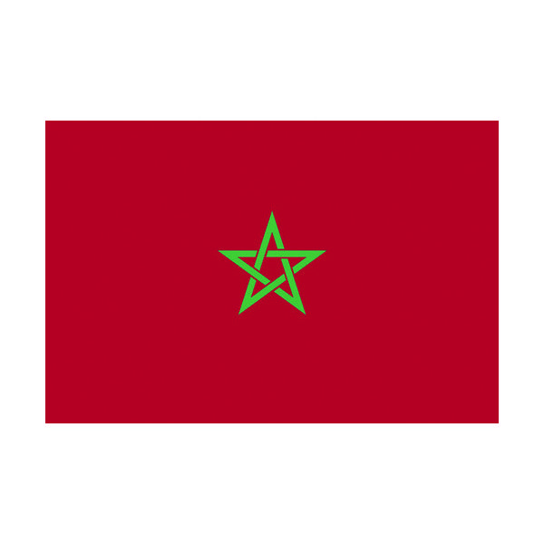 東京製旗 国旗No.1(70×105cm) モロッコ 416786 1枚 207-3752（直送品）