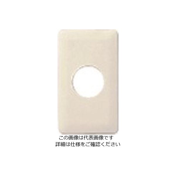 パナソニック Panasonic フルカラーモダン埋込コンプレート・W WN6053W 1セット(10個) 157-9911（直送品）