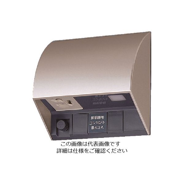 パナソニック Panasonic スマート電子EEスイッチ付防水コンセント EE4553Q 1個 159-7330（直送品）