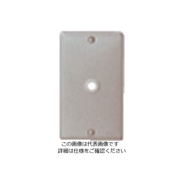 パナソニック Panasonic フルカラー新金属電話線プレート WN7581 1セット(10個) 159-0929（直送品）