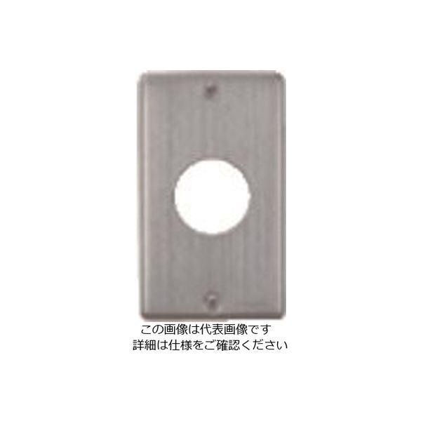 パナソニック Panasonic フルカラー新金属コンセントプレート WN9513 1セット(10個) 158-1535（直送品）