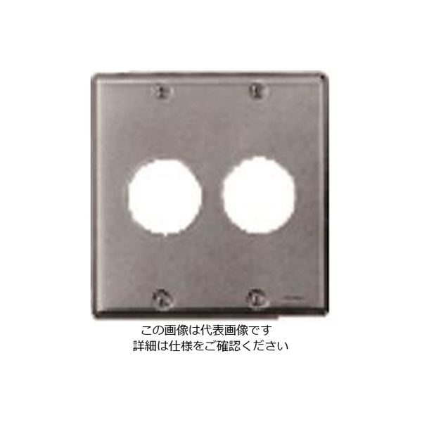 パナソニック Panasonic フルカラー新金属コンセントプレート2連 WN9523 1セット(5個) 158-1518（直送品）