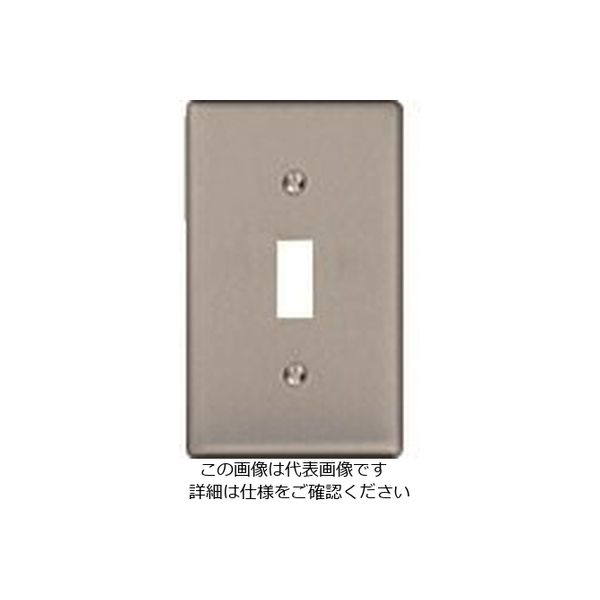 パナソニック Panasonic 埋込スイッチ新金属プレート WS9561 1セット(10個) 158-6229（直送品）
