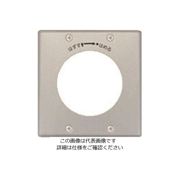 パナソニック Panasonic フルカラー新金属φ71コンセントプレート WN9516 1セット(5個) 158-3069（直送品）