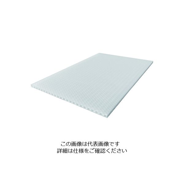 岐阜プラスチック工業 リス テクセル5mm樹脂板 633749 TECCELL樹脂製中空ナチュラル900X900 T5-900X900 1枚（直送品）