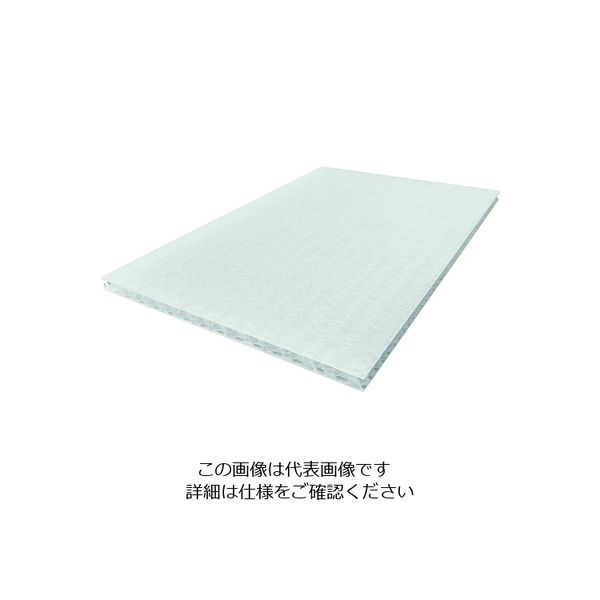 岐阜プラスチック工業 リス テクセル10mm樹脂板 633756 樹脂製中空ボードナチュラル450X600 T10-450X600 1枚（直送品）