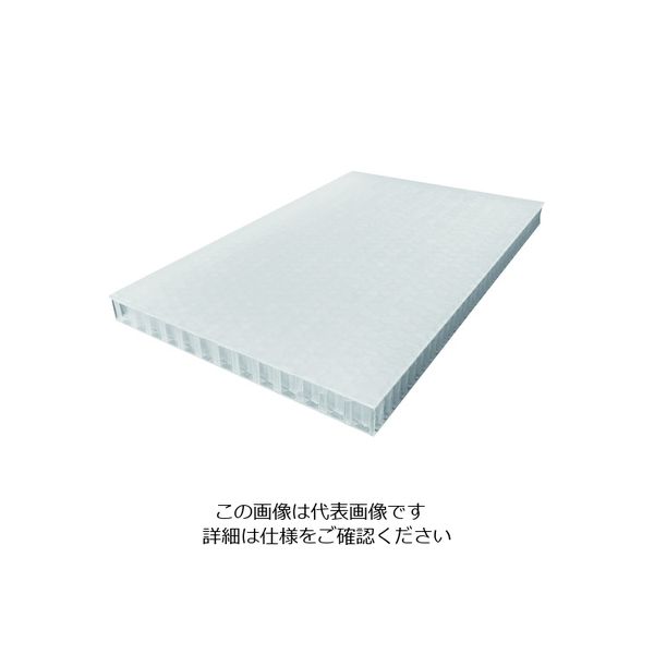 リス テクセル20mm樹脂板 633787 TECCELL樹脂製中空ボードナチュラル450X600 T20-450X600 1枚（直送品）