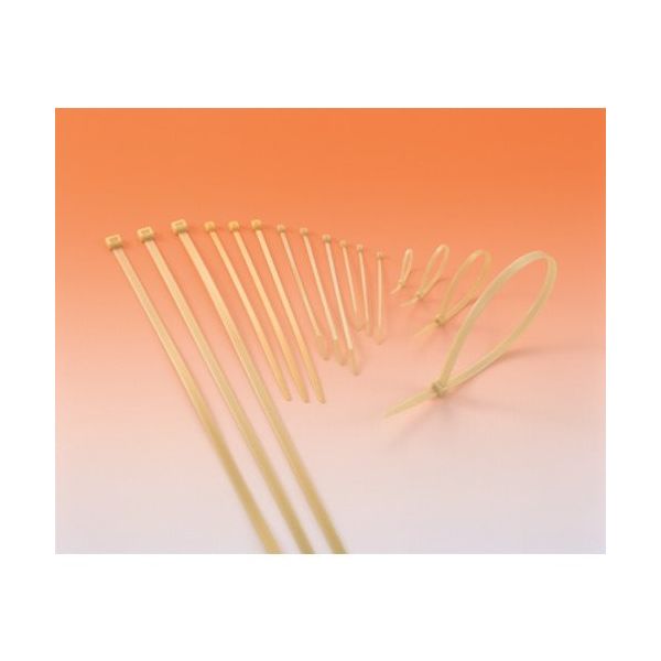 ヘラマンタイトン MSタイ 幅2.5×長さ100mm 屋内使用 (1000本入) T18R-V0 1袋(1000本) 850-3891（直送品）