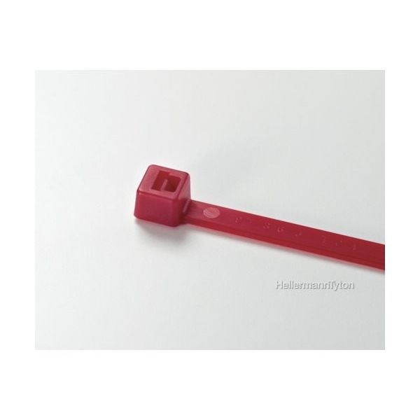 ヘラマンタイトン カラータイ 幅4.6×長さ202mm 屋内使用