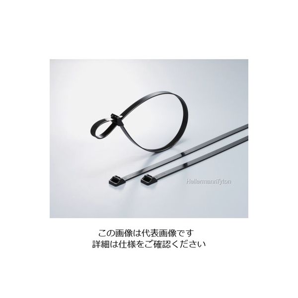 ヘラマンタイトン ラッシングタイ RT250タイプ 幅12.5×長さ565mm RT250M-W 1袋(25本) 850-3837（直送品）