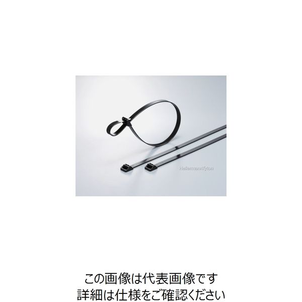 ヘラマンタイトン ラッシングタイ RT250タイプ 幅12.5×長さ735mm RT250I-W 1袋(25本) 850-3833（直送品）