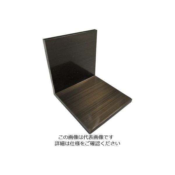 アルインコ アルミアングルピース50 ブロンズ FA303B 1個(1本) 125-0609（直送品）