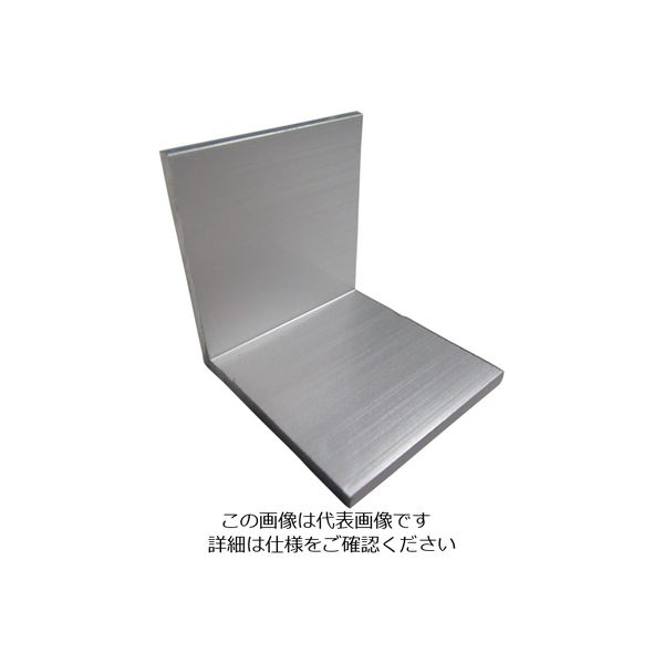 アルインコ アルミアングルピース50 シルバー FA303S 1個(1本) 125-0620（直送品）