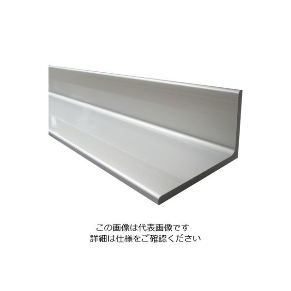 アルインコ アルミ不等辺アングル 20×40×2.0 シルバー艶消し 1m FA273S1 1本 849-4371（直送品）