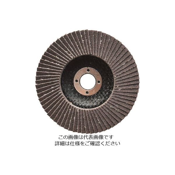 ボッシュ 研磨ディスク 100mm Vシリーズ バッグセット FD100VJ 1セット 135-0609（直送品）