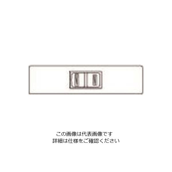 パナソニック Panasonic 家具用コンセントチョコ WF2050AK 1セット(10個) 157-3529（直送品）