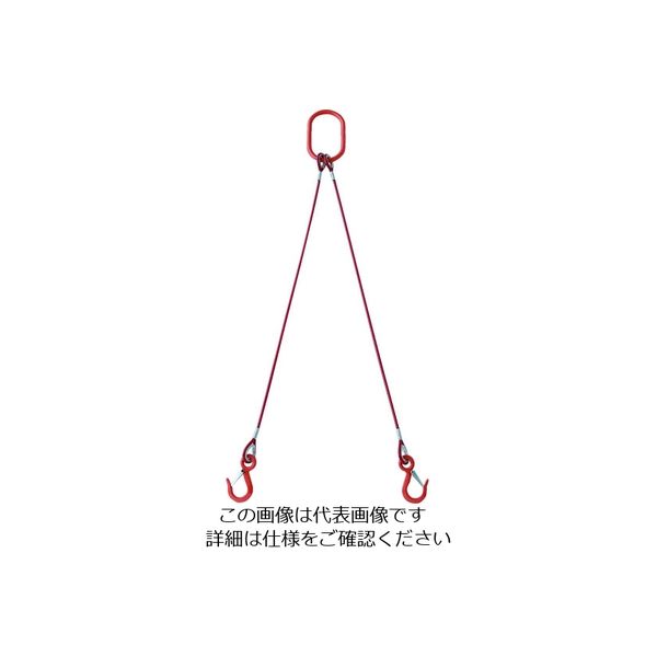 トラスコ中山 TRUSCO 2本吊玉掛ワイヤーロープスリング(カラー被覆付)アルミロックタイプ 赤透明1M TWSP2P6S1 1セット（直送品）