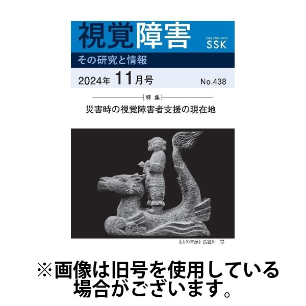 【CD-R版】視覚障害――その研究と情報 2025/03/01発売号から1年(12冊)(雑誌)（直送品）