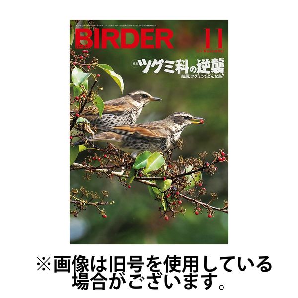 BIRDER（バーダー）2025/03/14発売号から1年(12冊)(雑誌)（直送品）