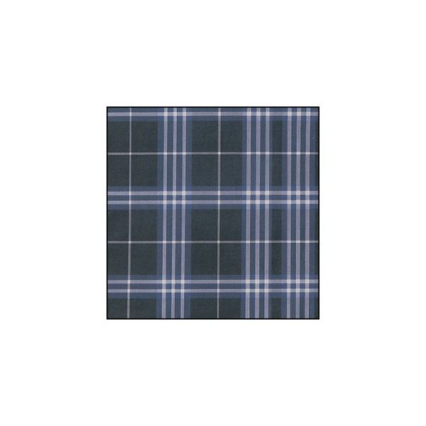 名古屋眼鏡 パフューム(めがね拭き) ブルーチェック 3017-17 1枚 67-9362-92（直送品）