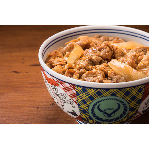 吉野家 【冷凍】吉野家牛丼の具120g×10食 1300060543042 1セット