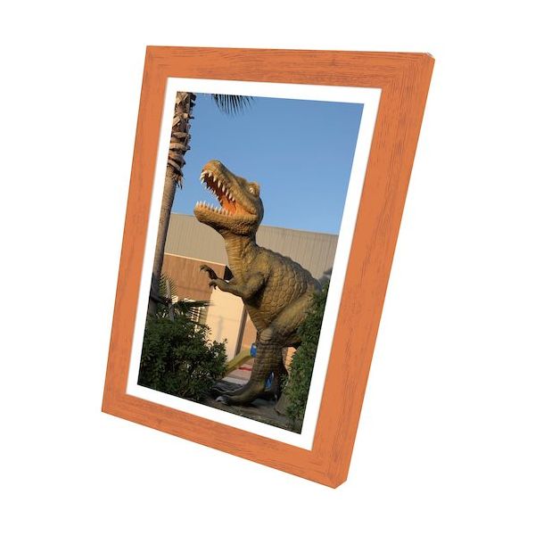 ブレイン 飾るアート非常用トイレ(大)10回分+アートポスター12種セット Aタイプ BR-ATT200-A 1セット(4個)（直送品）