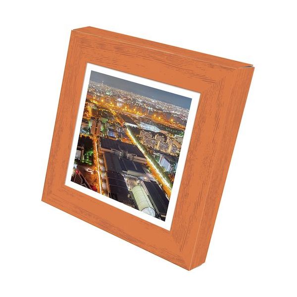 ブレイン 飾るアート非常用トイレ(小)5回分+アートポスター14種セット BR-ATT100 1セット(4個) 555-3426（直送品）