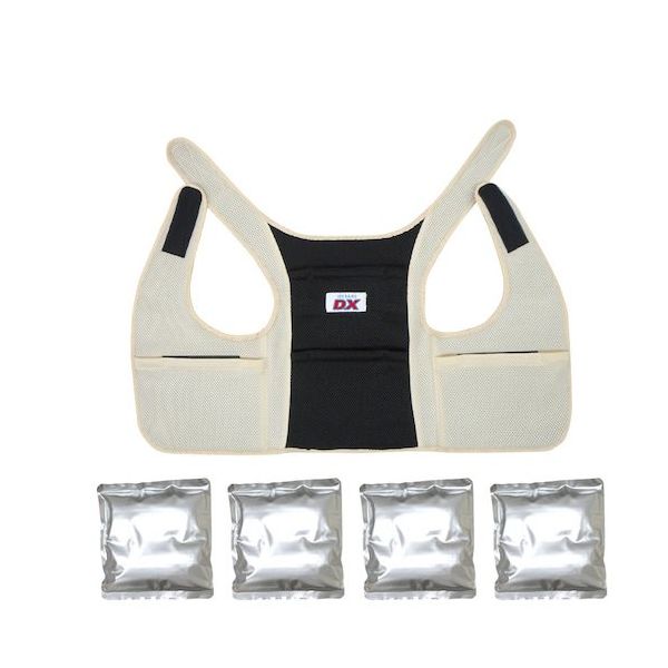 ブレイン アイスバック(R)DXデラックス(アルミ保冷剤4個付)ベージュ BR-551-BE 1式 651-3129（直送品）