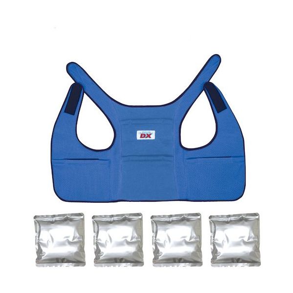 ブレイン アイスバック(R)DXデラックス(アルミ保冷剤4個付)ブルー BR-551-BL 1式 651-3159（直送品）