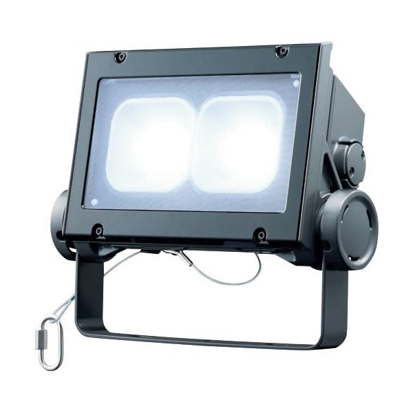 岩崎電気 岩崎 LED投光器(80クラス、超広角タイプ、昼光色タイプ) ECF8040SW/DSAN8/DG 1台 406-2414（直送品）