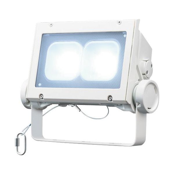 岩崎電気 岩崎 LED投光器(80クラス、超広角タイプ、昼光色タイプ) ECF8040SW/DSAN8/W 1台 406-2422（直送品）